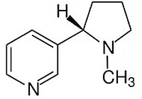 Nikotin